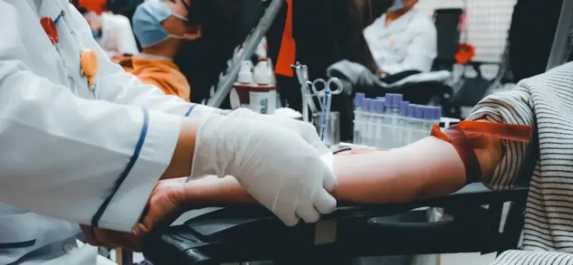 Soins vétérinaires à un animal blessé